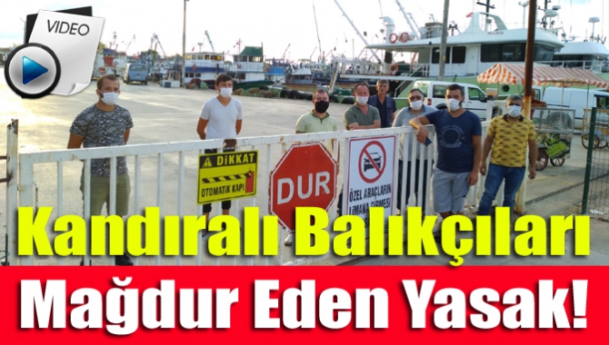 Türkiye’de balıkları ile meşhur olan Kandıra’nın Kefken Limanı’nda vatandaşa doğrudan