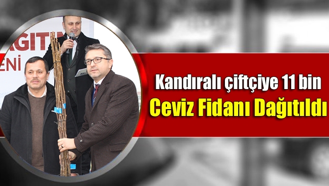 Kocaeli Büyükşehir Belediyesi tarafından düzenlenen törenle Kandıralı 320 çiftçiye, 11