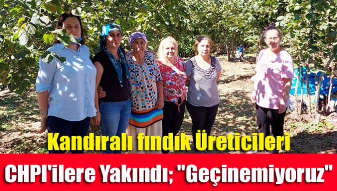 CHP’li kadınlar Kandıra’nın Çerçili Köyü sakinleri ile hem fındık topladı