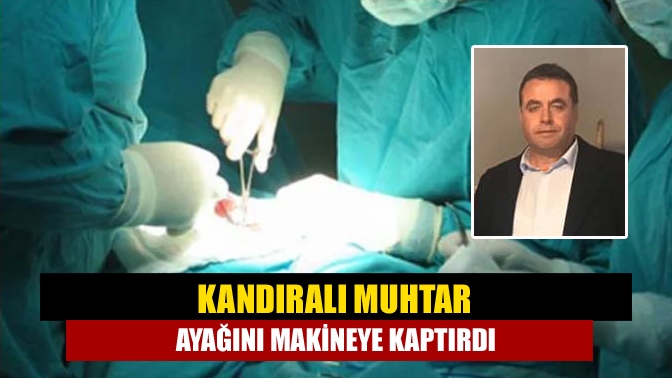 Kandıra Kabaağaç Köyü Muhtarı Hasan Çakır, akşam saatlerinde ayağını yem
