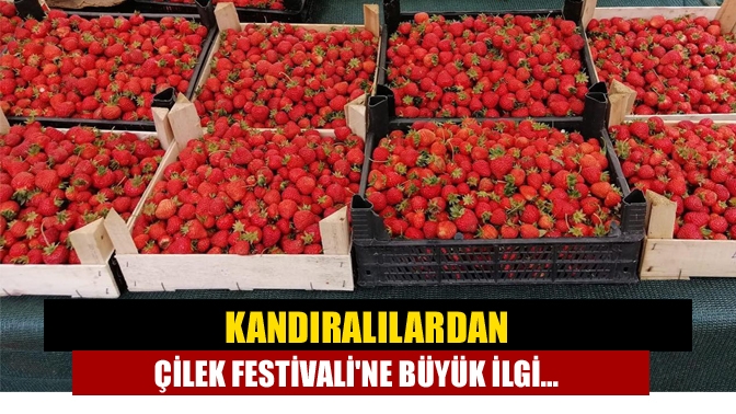 Genç Kandıralılar Derneği, Kandıra Tarım Köyleri Çilek Festivali'nin üçüncüsünü Bağırganlı’da