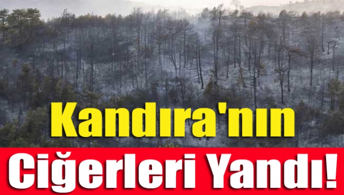 Kandıra Ağva Şile yolu Akçaova Akıncı mevkisinde ormanlık alanda çıkan