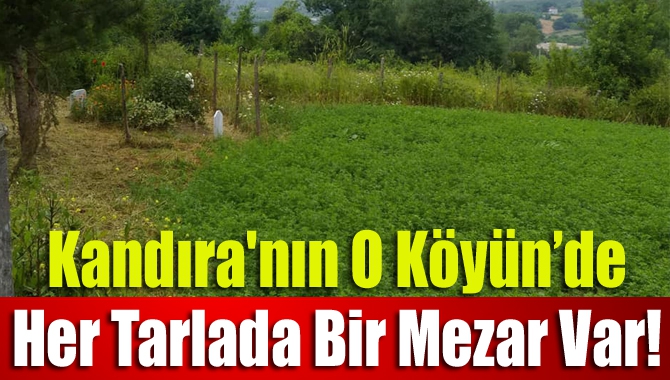 Çalköy Mahallesi sakinleri, vefat eden yakınlarının cenazelerini mezarlık yerine tarlasına