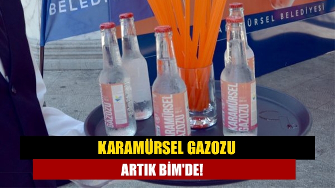 BİM Satın Alma Müdürü Volkan Çayırdere, Karamürsel Belediye Başkanı İsmail