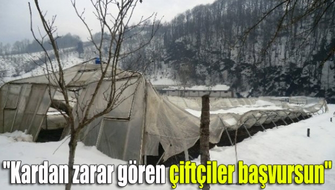 Yoğun kar yağışı ve buzlanma nedeniyle zarar gören üreticilerin zarar