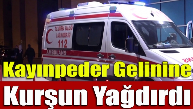 İzmit Yenidoğan Mahallesinde meydana gelen olayda, Remziye Kanyılmaz(34) evinin önünde