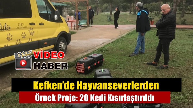 Kandıra Kefken sakinleri, oluşturdukları “Haysev” gönüllü grubu ile sokak kedilerinin