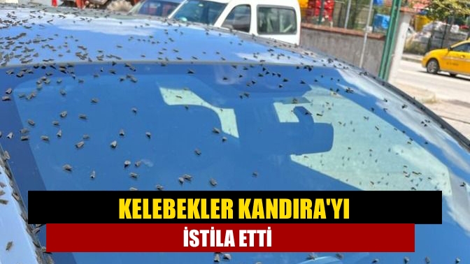 Kandıra'da Terminal çevresinde bulunan ev ve araçların üzerlerinin adeta kelebekler