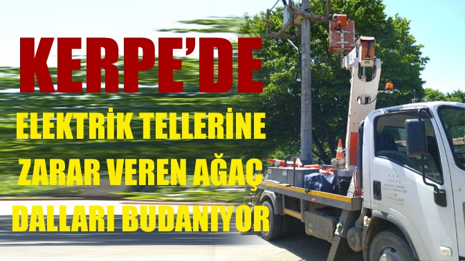 Sakarya Elektrik Dağıtım A.Ş. (SEDAŞ), Kandıra’nın Kerpe Mahallesi’nde elektrik tellerine