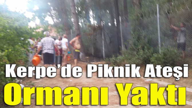 Kandıra Kerpe Miço Koyu Kadınlar Plajı yolunda, mangal ateşinden çıkan