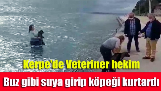 Kandıra Kerpe'de boğulma tehlikesi geçiren köpeği, veteriner hekim Behice Sinem
