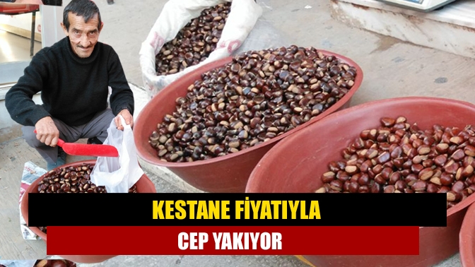 Soğuk kış akşamlarının vazgeçilmezi olan kestane, Kandıra’nın dağlarından toplanarak tezgâhlara
