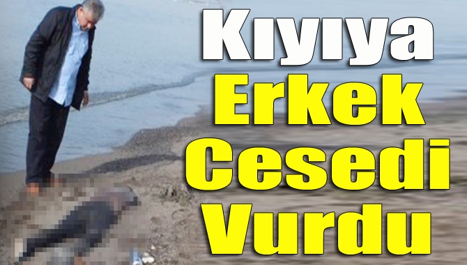 Gebze’de İSU’ya ait arıtma tesislerinin bulunduğu alanda kıyıya vurmuş 20-25