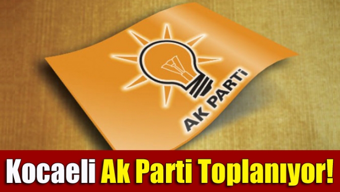 AK Parti İl Danışma Meclisi toplantısı Genel Başkan yardımcısı Erkan