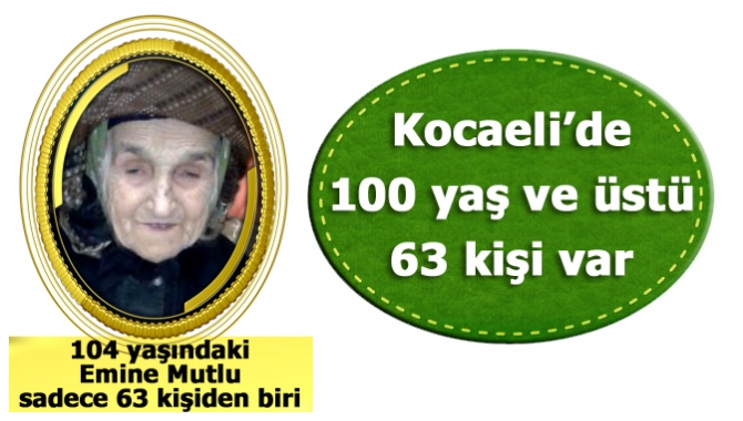 Türkiye İstatistik Kurumu (TÜİK) Kocaeli Bölge Müdürlüğü, ‘Asırlık Çınarlara’ ilişkin