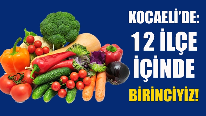 Kocaeli’de tarım yapılan alanlarda çok ciddi bir faaliyet var. Domatesten