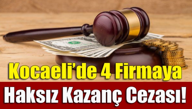 Kocaeli’de denetimden geçen 4 firmanın haksız kazanç elde ettiği belirlendi.
