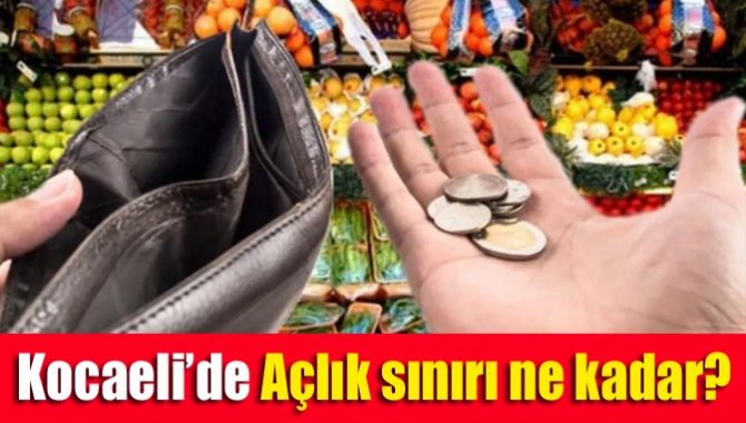 Birleşik Metal-İş Sendikası Araştırma Merkezi'nin raporuna göre Kocaeli’de açlık sınırı,