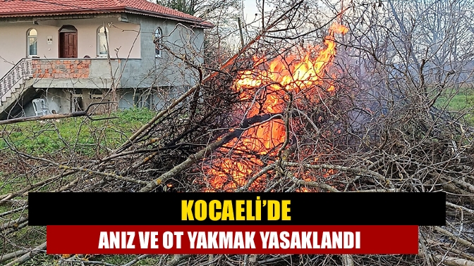 Kocaeli Valisi Seddar Yavuz, anız yangınlarına dikkat çekerek, “Kesinlikle ot,
