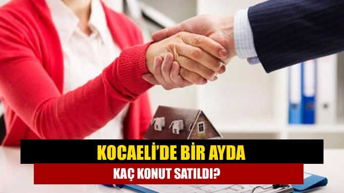 TÜİK verilerine göre Kocaeli’de ağustos ayında 3 bin 416 adet