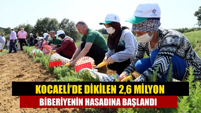 Büyükşehir Belediyesince, tarım ve kırsal kesimi desteklemek amacıyla geçen sene