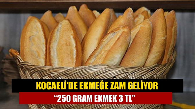 Kocaeli Fırıncılar Odası Başkanı Ali Sarı ekmeğe zam gelecek mi