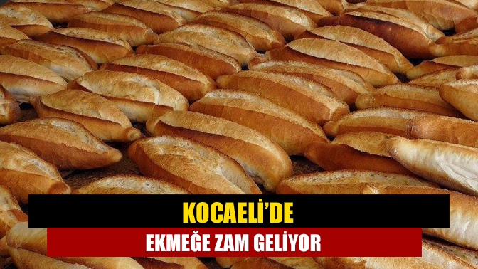 Kocaeli Esnaf Sanatkarlar Odaları Birlik Başkanı Kadir Durmuş, “Sürekli artan,