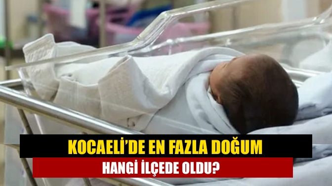TUİK verilere göre Kocaeli’de en fazla doğum Gebze’de oldu. 2023