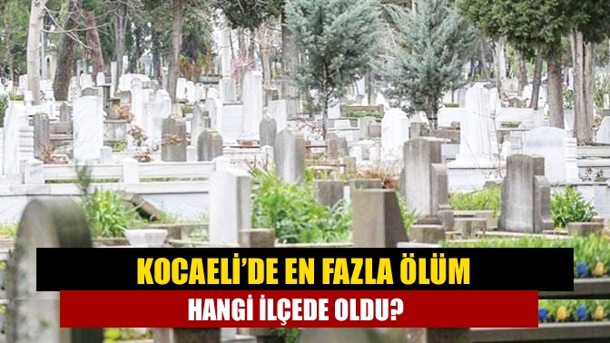 TUİK’in açıkladığı ölüm istatistiğine göre, Kocaeli’de en fazla ölüm İzmit’te