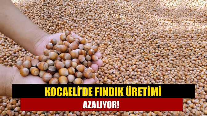 Kocaeli’nin en önemli tarım ürünlerinin başında gelen fındık üretimiz azalıyor.