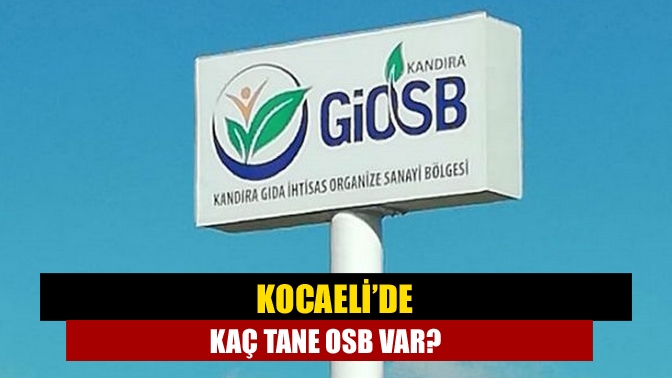 Son 20 yılda Türkiye, üretim ve ihracatta vites yükseltirken, Organize