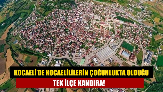 Kocaeli’nin tüm ilçelerinde Kocaeli doğumlular azınlıkta. 12 ilçe içinde sadece