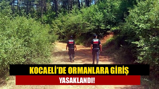 Orman yangınları tehdide karşı, Kocaeli’de ormanlara giriş yasağı başladı.
