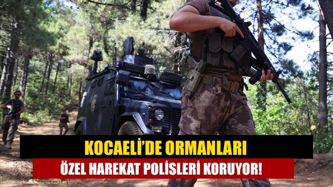 Kocaeli’de orman yangınlarının önlenmesi için güvenlik güçlerinin çalışması aralıksız sürüyor.