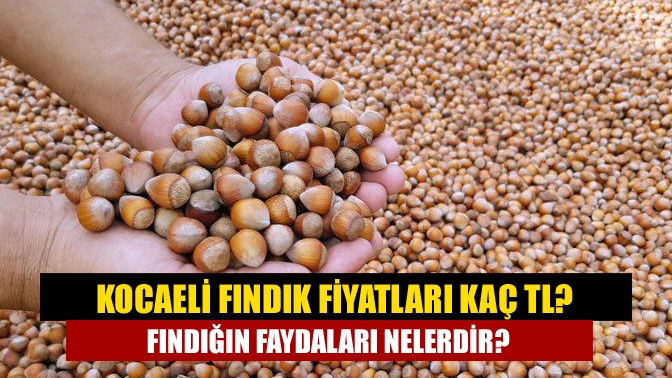 Fındık fiyatları 02 Nisan 2022 ne kadar oldu? Peki fındık