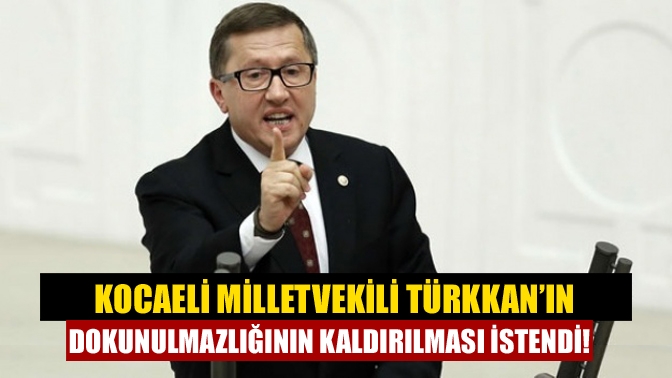 TBMM Anayasa ve Adalet Karma Komisyonu, İYİ Parti Kocaeli Milletvekili