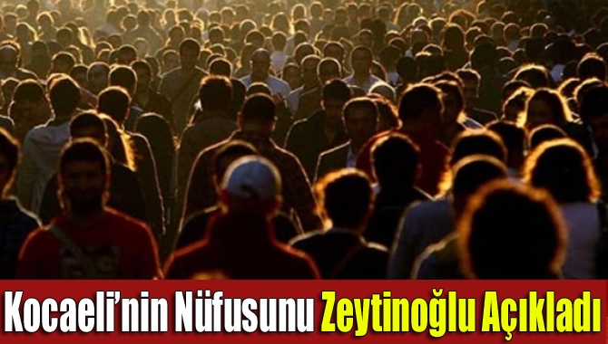 Türkiye İstatistik Kurumu (TÜİK) tarafından her yılın ilk aylarında açıklanan