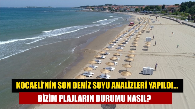 Deniz sezonu açıldı. Peki Kocaeli plajları temiz mi? hangi plajlarda