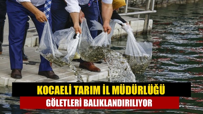 Kocaeli Tarım İl Müdürlüğü 350.000 adet sazan balığı yavrusunu Kocaeli
