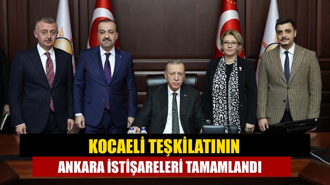 Cumhurbaşkanı Erdoğan, yerel seçimler öncesi mevcut belediye başkanları ile görüşüp