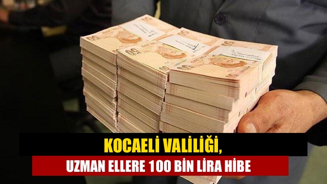 Kocaeli Valiliği, 100 bin lira hibe desteğin sağlanacağı Uzman Eller