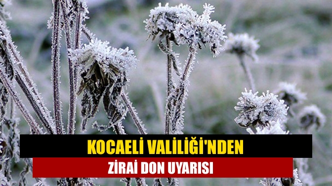 Kocaeli Valiliği, kentimizde hava sıcaklıklarının düşeceğini belirterek, zirai don uyarısında