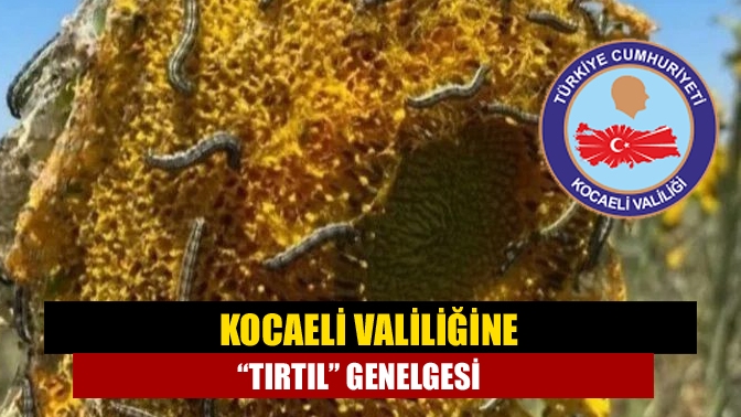 Tarım ve Orman Bakanlığı Gıda ve Kontrol Genel Müdürlüğü, Kocaeli