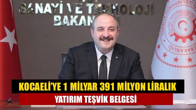 Sanayi ve Teknoloji Bakanlığı, haziran ayında Kocaeli’ye 1 milyar 391