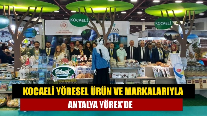 Kocaeli İl Kültür ve Turizm Müdürlüğü, MARKA Doğu Marmara Kalkınma
