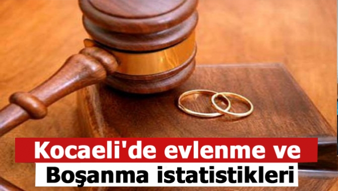 Türkiye İstatistik Kurumu (TÜİK) Kocaeli Bölge Müdürlüğü tarafından yayımlanan istatistik