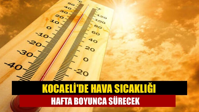Kocaeli, Haziran ayı itibariyle aşırı sıcaklıkların etkisine girdi. Gün içerisinde