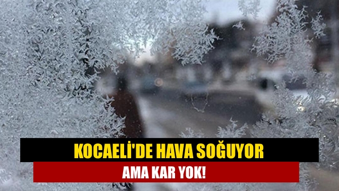 Meteoroloji Genel Müdürlüğü tarafından yayınlanan Kocaeli hava durumu tahminlerine göre