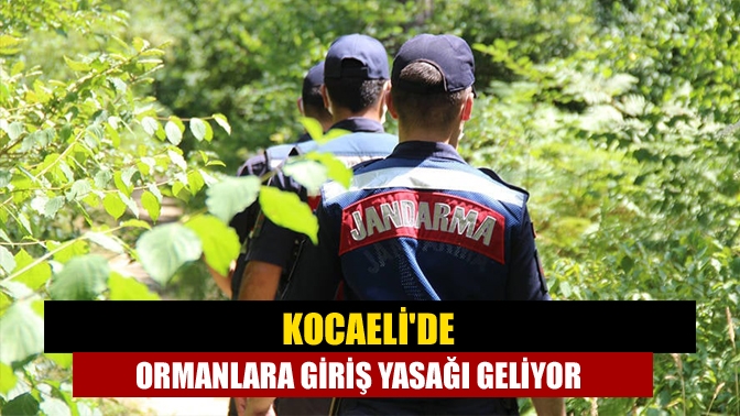 Kocaeli Valisi Seddar Yavuz orman yangınları önlemek amacıyla ormanlık alanlara