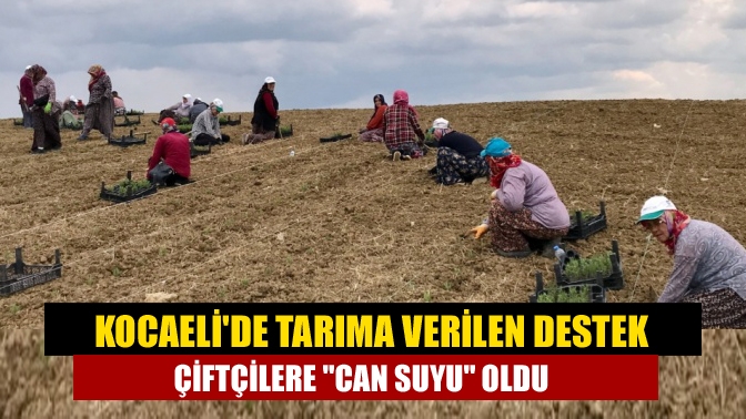 Kocaeli'de Kovid-19 salgını dolayısıyla girdi maliyetlerinde gerçekleşen artıştan etkilenen çiftçilere,